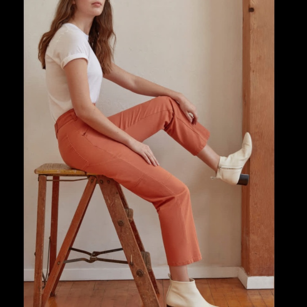 Everlane The Carpenter Pant NWT